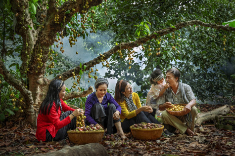 “Sắc màu quê hương” qua lăng kính nhiếp ảnh