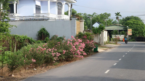 Phường Phú Mỹ, TP.Thủ Dầu Một: Ra mắt 8 tuyến đường xanh - sạch - đẹp - văn minh