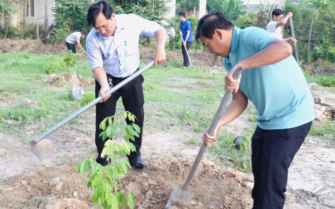 TP.Thủ Dầu Một: Ra mắt công trình vườn cây chuyên đề “Cây gõ đỏ”