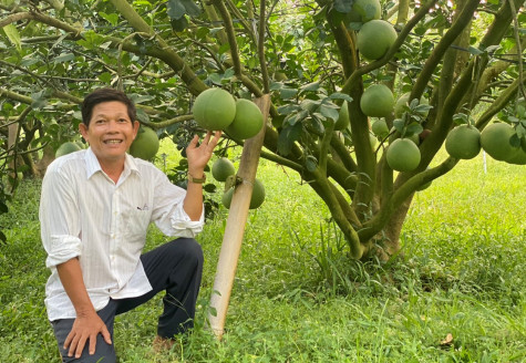 Chủ động quảng bá, tiêu thụ sản phẩm đặc trưng