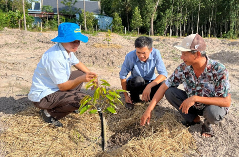 Thành công nhờ đa dạng mô hình sản xuất