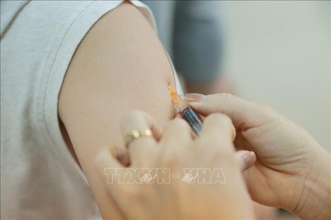 Bộ Y tế: Không nên tự ý tiêm vaccine bạch hầu khi chưa có hướng dẫn cụ thể