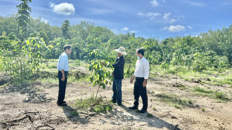 Nâng cao hiệu quả phòng chống, ứng phó với thiên tai