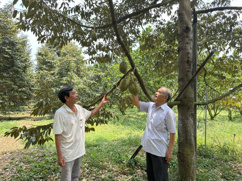 Chú trọng nông nghiệp công nghệ cao