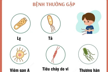 Các bệnh lây truyền qua đường tiêu hóa thường mắc sau bão lụt và mưa lũ