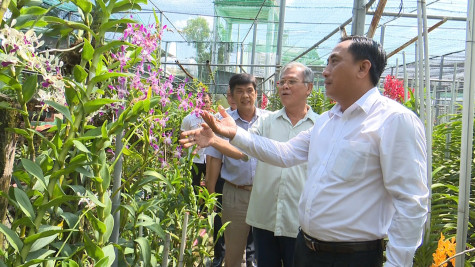 Phường Bình Nhâm, TP.Thuận An: Tiếp tục phát triển mô hình kinh tế tập thể phù hợp với tình hình địa phương