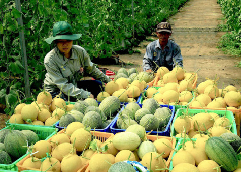 Khai thác hiệu quả thương mại điện tử