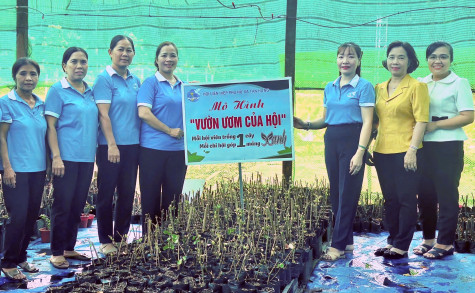 Vườn ươm của hội: Việc làm nhỏ, ý nghĩa lớn