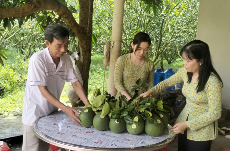 Xây dựng nhãn hiệu tập thể: Nâng tầm giá trị nông sản