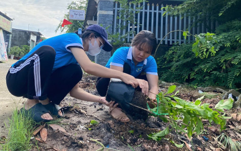 Hội Liên hiệp Phụ nữ xã Trừ Văn Thố (huyện Bàu Bàng): Thực hiện công trình “Tuyến đường hoa”