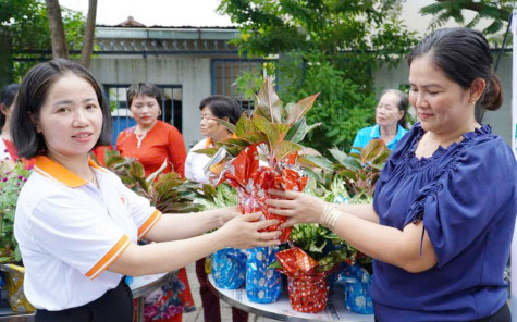 Đổi chất thải lấy cây xanh, góp phần tạo cảnh quan môi trường