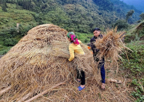 Khu vực Bắc Bộ trời rét, vùng núi có nơi rét đậm và rét hại