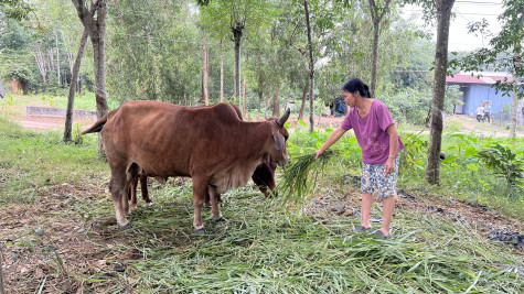 Xã Tân Hưng, huyện Bàu Bàng: Chung tay hỗ trợ người dân thoát nghèo