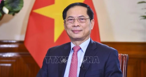 Diplomatic achievements in 2024 set stage for Vietnam’s new era: Deputy PM