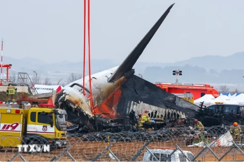 Jeju Air plane crash in South Korea: Bodies of all 179 victims found