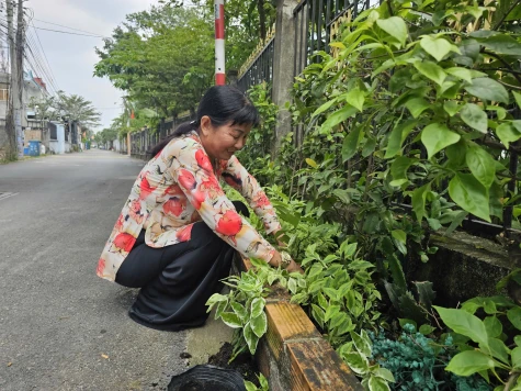 Tuổi cao nêu gương sáng