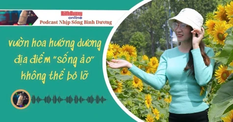 NHỊP SỐNG BÌNH DƯƠNG: Vườn hoa hướng dương – Địa điểm “sống ảo” không thể bỏ lỡ