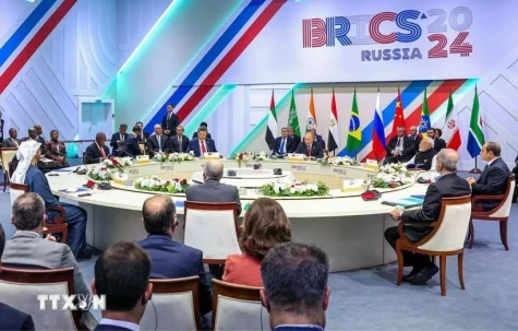 Indonesia pins hopes on BRICS membership