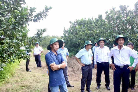 Tăng cường quảng bá, nâng cao thương hiệu sản phẩm địa phương