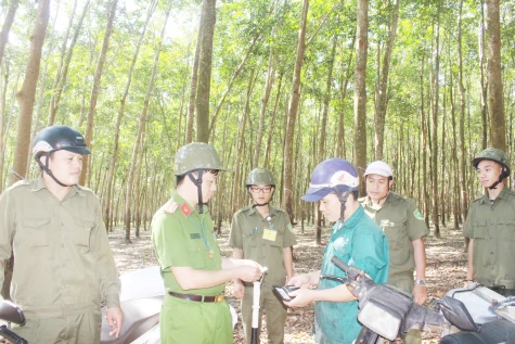 Xã An Bình: Hiệu quả trong tấn công, trấn áp tội phạm