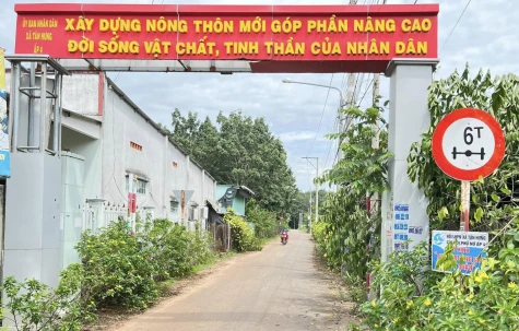 Chung tay vì môi trường xanh, sạch