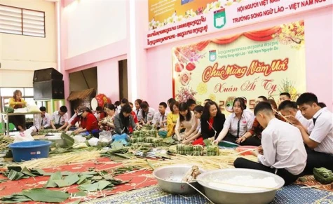 Vietnamese in Singapore, Laos, Brunei celebrate Tet