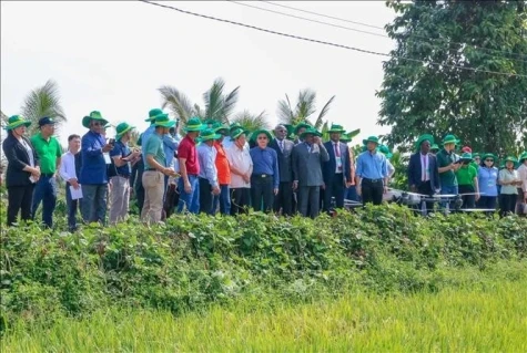 APF delegates explore green agriculture in Can Tho