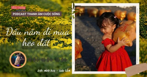 THANH ÂM CUỘC SỐNG: Đầu năm đi mua heo đất