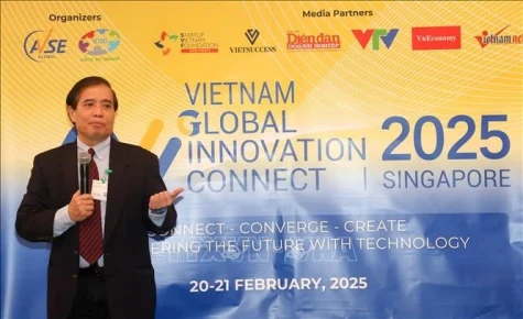 Innovation forum in Singapore draws global Vietnamese talent to shape tech future