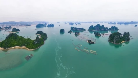 Quang Ninh to launch new tours on Bai Tu Long Bay in mid-March