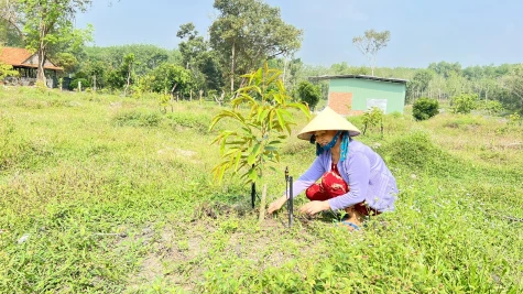 Ngành nông nghiệp thích ứng với biến đổi khí hậu