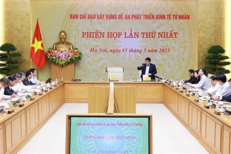 使发展私营经济真正成为国家发展进程中的核心力量