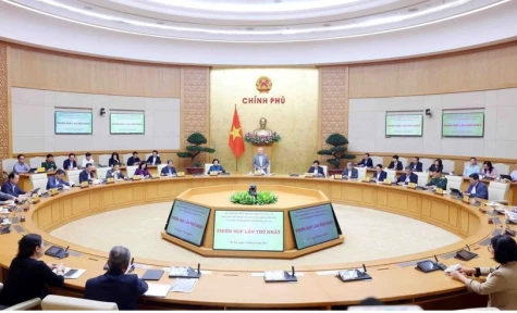 Merging provinces to expand development space: former deputy minister