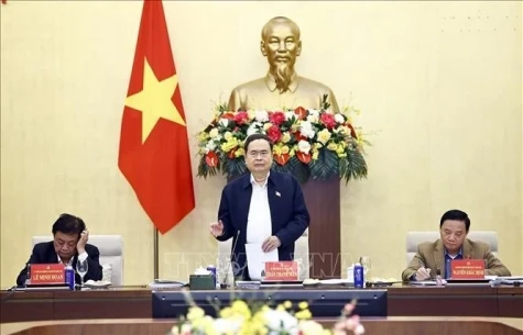 越南国会党委常委会就精简机构改革提出意见