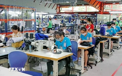 Vietnam possesses various favourable factors to develop dynamic economy