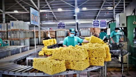 Kinh tế huyện Dầu Tiếng tiếp tục đạt kết quả tốt