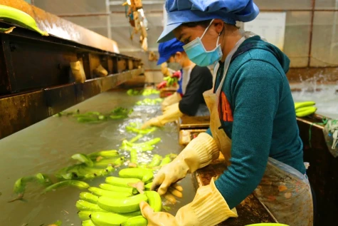 Tạo đột phá phát triển từ quy hoạch