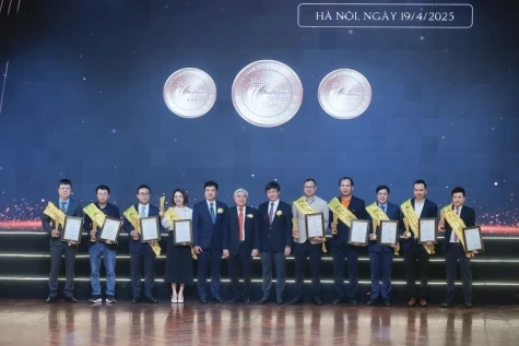 2025年奎星奖：将越南智慧推向世界