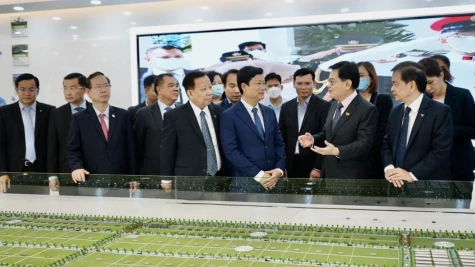 努力实现可持续发展目标