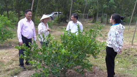 Trợ lực từ vốn chính sách