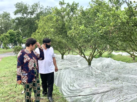 Xã Hiếu Liêm: Mang “luồng gió mới” cho nông nghiệp xanh