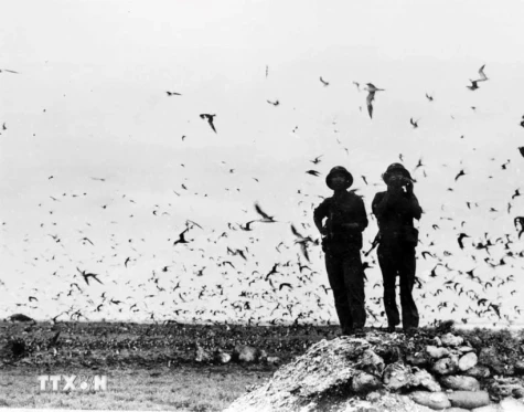 50 năm thống nhất đất nước-Ngày 29-4-1975: Giải phóng quần đảo Trường Sa