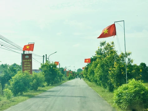 Phát triển nông thôn bền vững từ “làng thông minh”