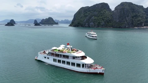 Luxury cruises set sail in Bai Tu Long Bay