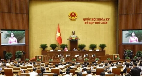 Lawmakers debate shortening tenure of 15th National Assembly