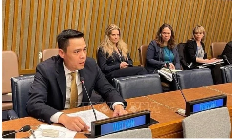 Vietnam nominated to chair 2026 NPT Review Conference