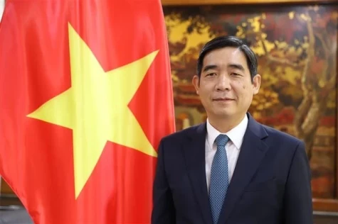 推动越泰关系迈上实质性和有效新水平