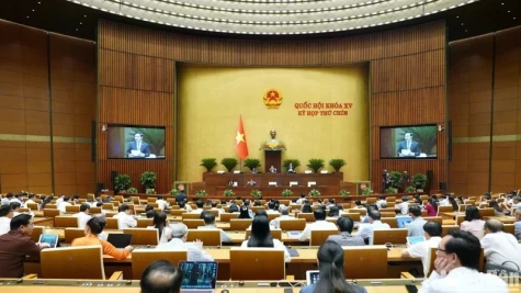 第十五届国会第九次会议：讨论修改和补充2013年《宪法》若干条款