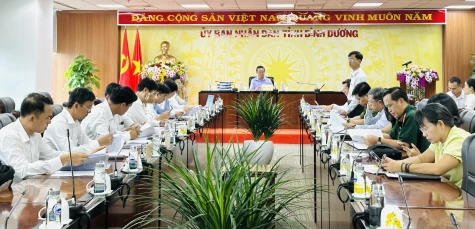 Mr. Bui Minh Thanh, Vice Chairman of Binh Duong Provincial People's Committee, Chairman of the Council for Appraisal and Recognition of Communes Meeting Advanced New Rural Standards and Model New Rural Standards in the province