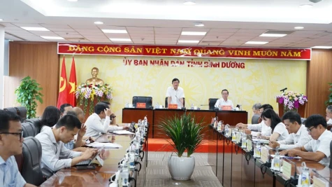 On the afternoon of May 22, Vo Van Minh, Vice Secretary of provincial Party Committee and Chairman of provincial People's Committee chaired the 95th meeting of provincial People's Committee